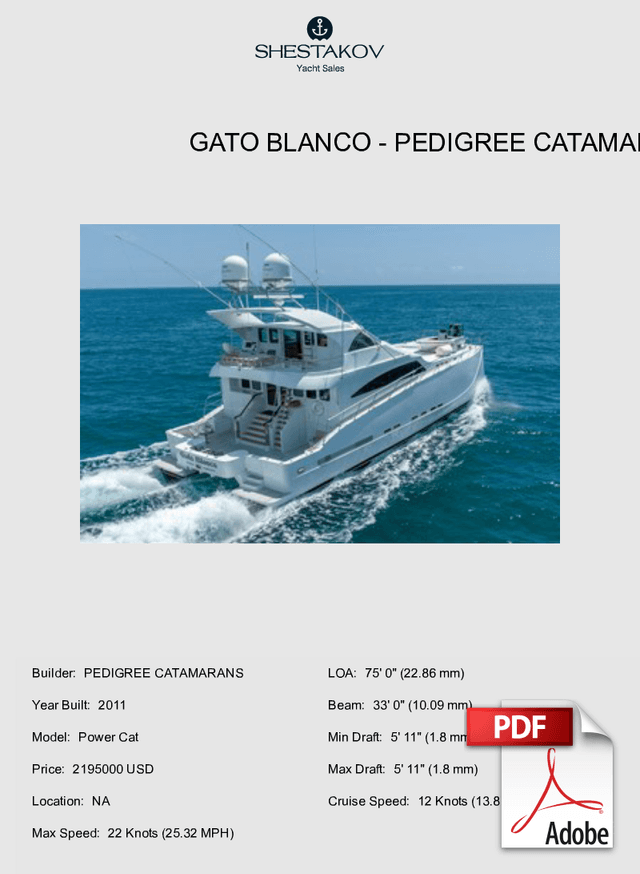 Gato Blanco - Power Cat - 2011