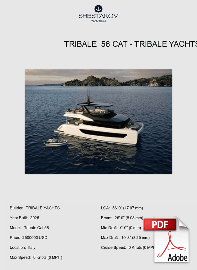 Tribale  56 Cat - Tribale Cat 56 - 2025