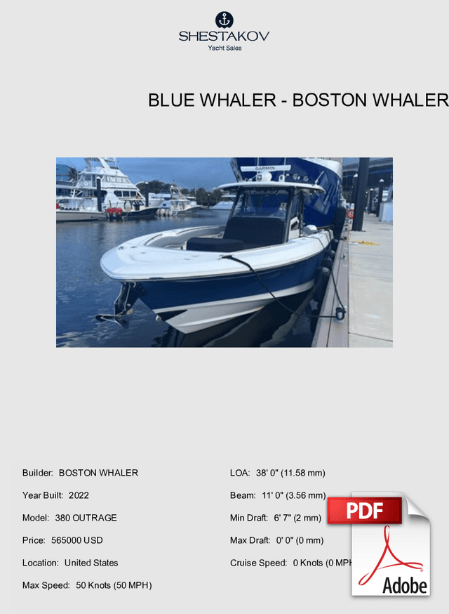 BLUE WHALER - 380 OUTRAGE - 2022