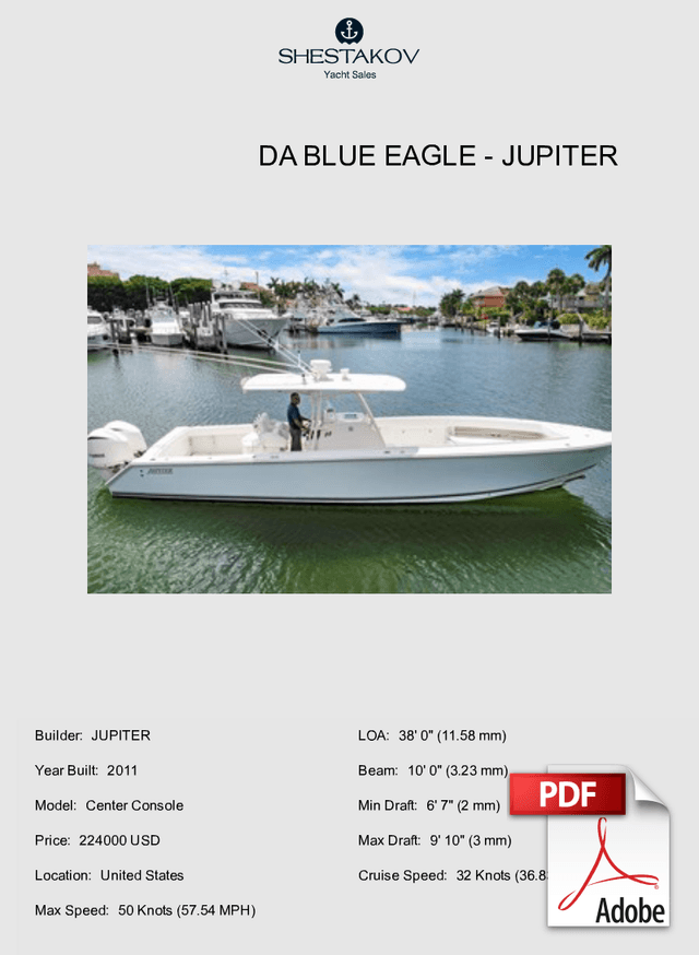 DA BLUE EAGLE - Center Console - 2011