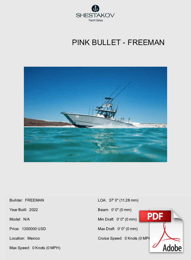 Pink Bullet - N/A - 2022