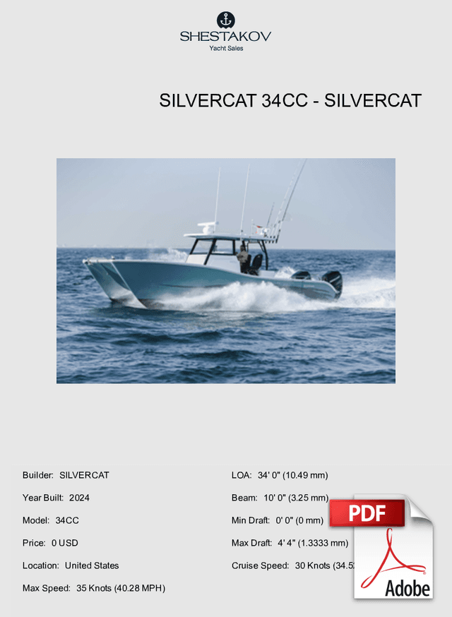 SILVERCAT 34CC - 34CC - 2024