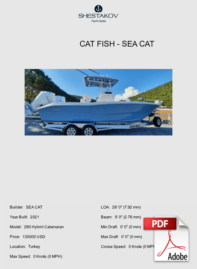 Cat Fish - 260 Hybrid Catamaran - 2021