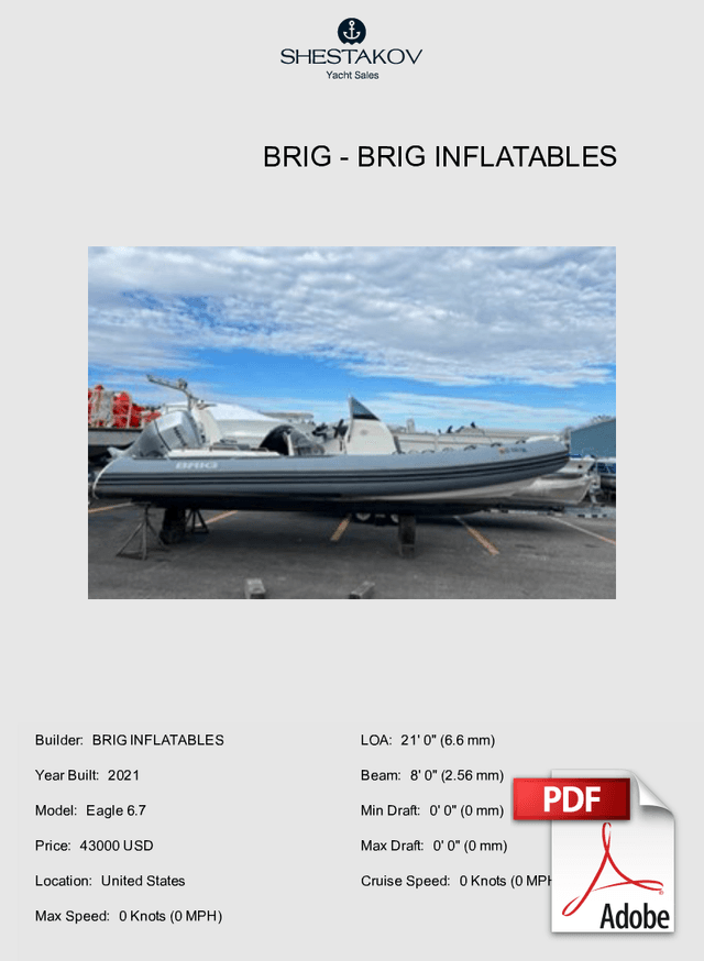 BRIG - Eagle 6.7 - 2021