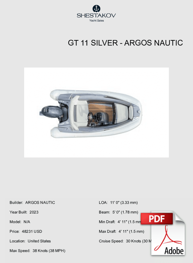 GT 11 Silver - N/A - 2024