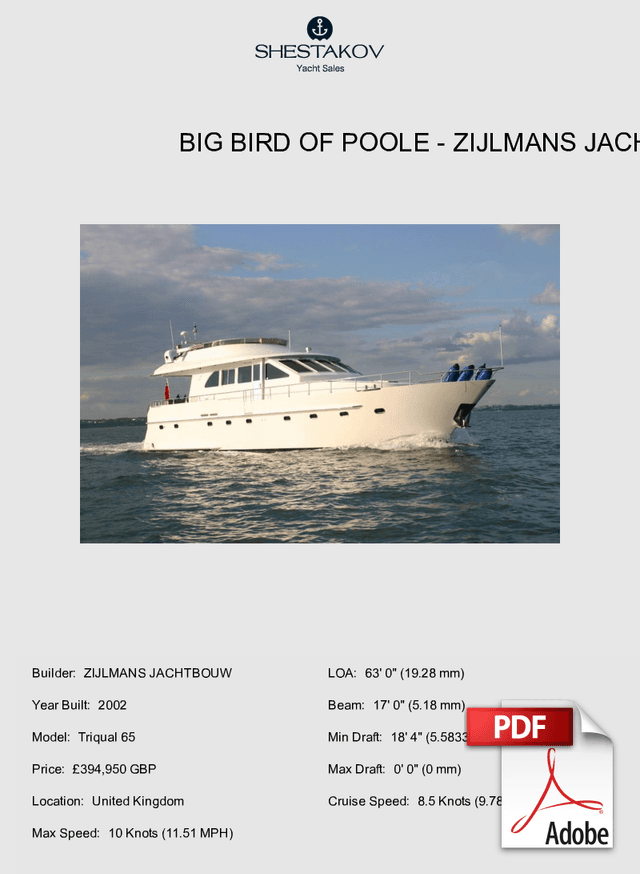 BIG BIRD OF POOLE - Triqual 65 - 2002