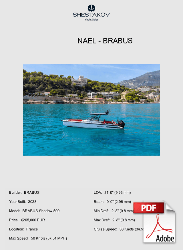 NAEL - BRABUS Shadow 500 - 2023