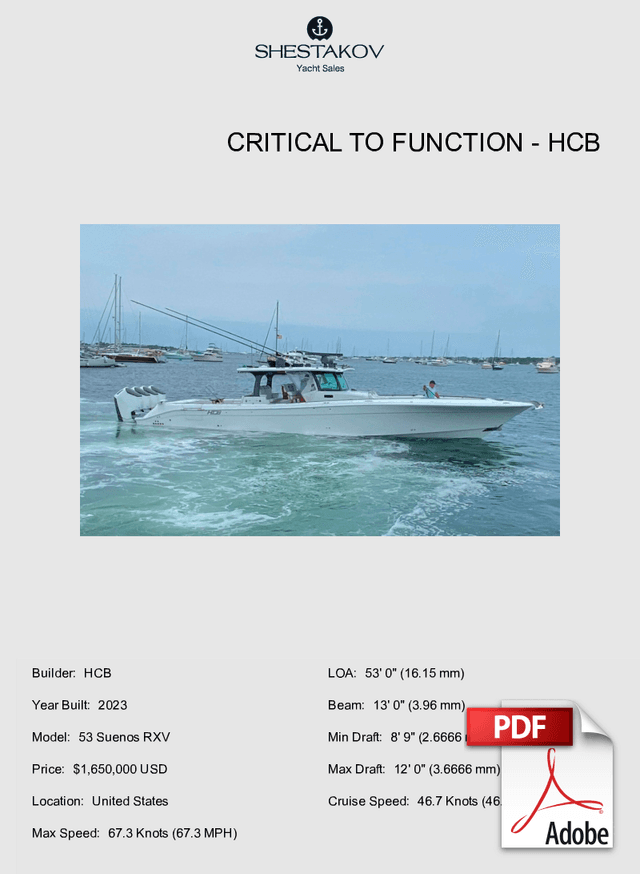 Critical to FUNction - 53 Suenos RXV - 2023