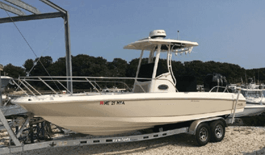 2018 Boston Whaler Dauntless 240