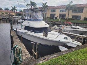 1992 Sea Ray 310 Sport Bridge