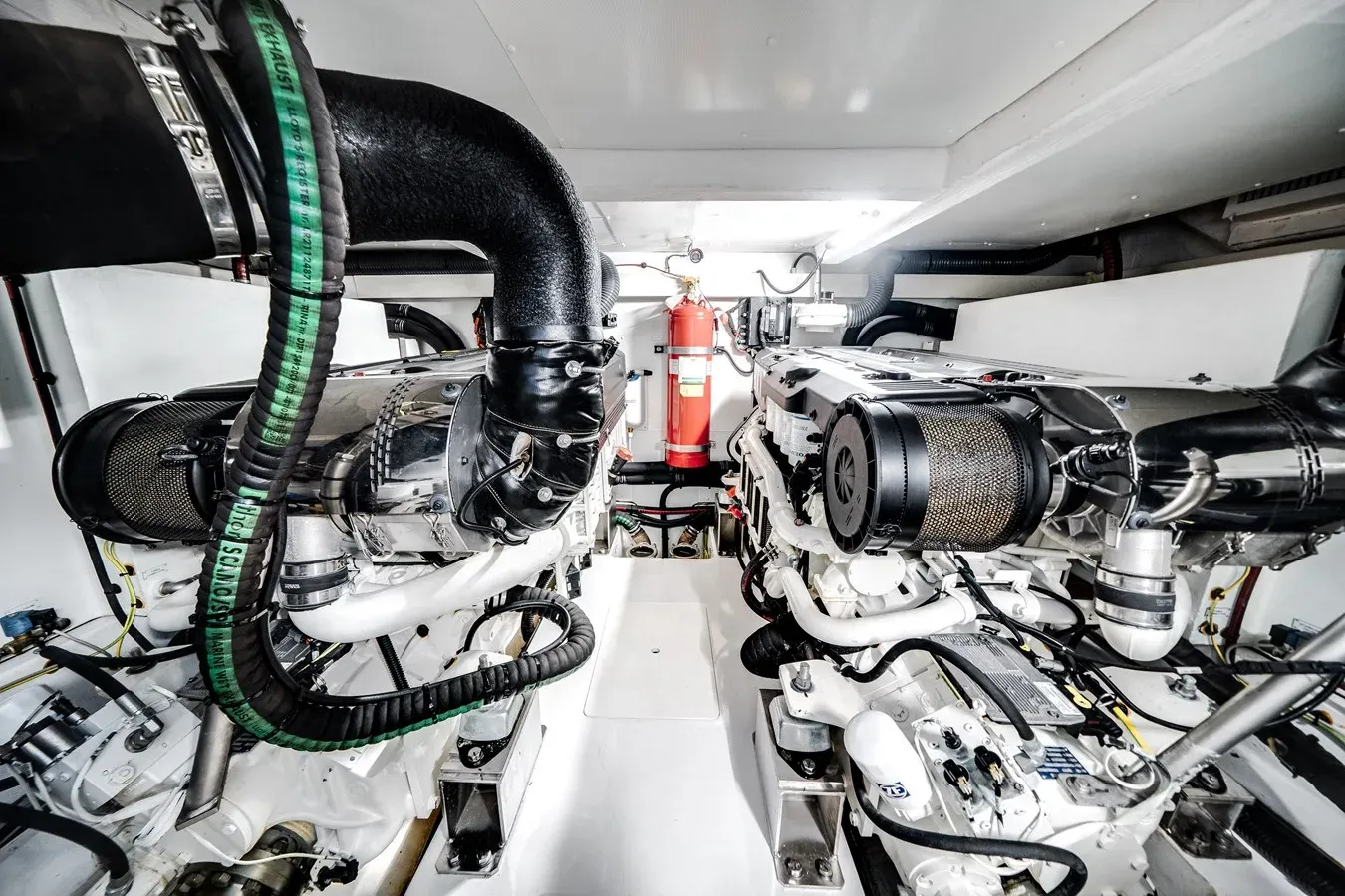 Nauti-Wolfe IV 60 price