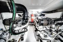 Nauti-Wolfe IV 60 price