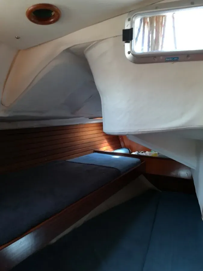 Buy a yacht TASMAN 40
