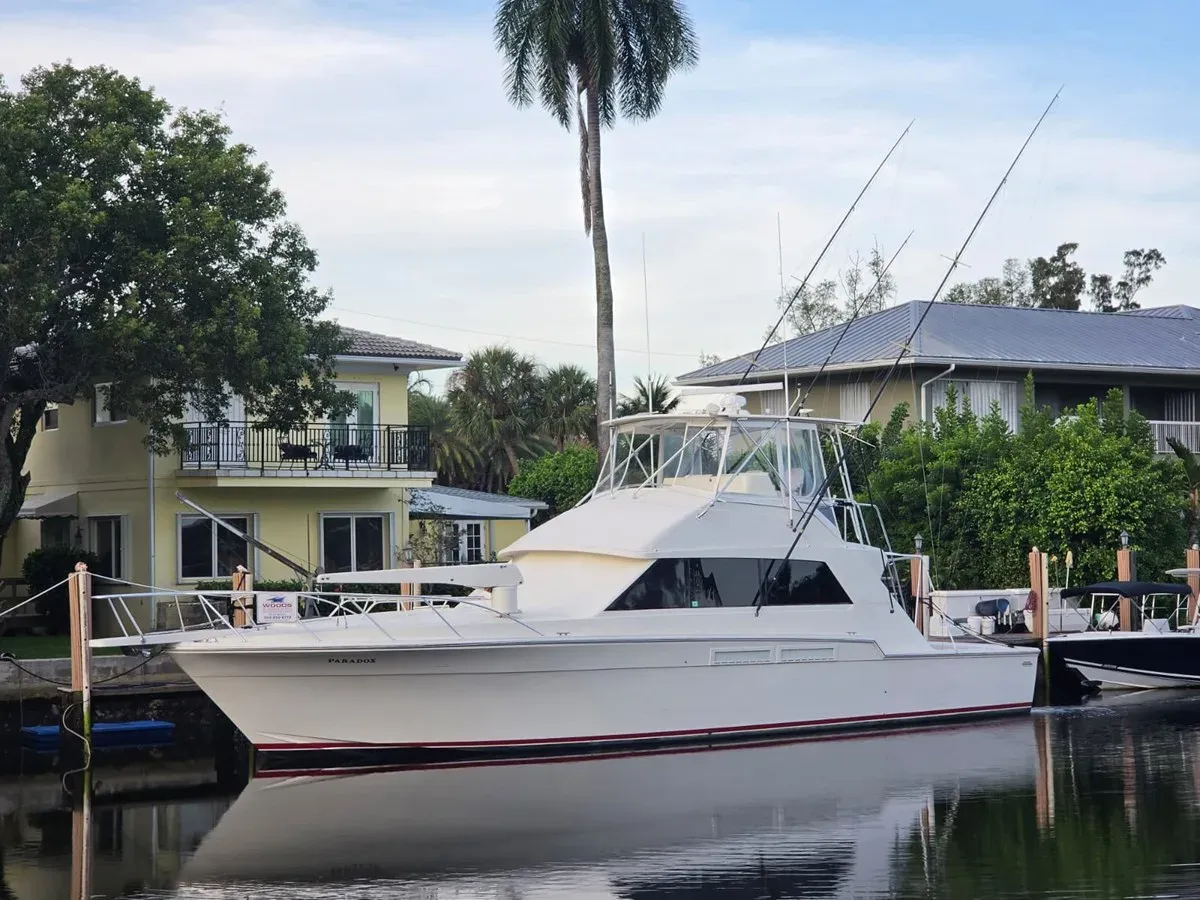 best yacht sales deals PARADOX - Bertram Yacht