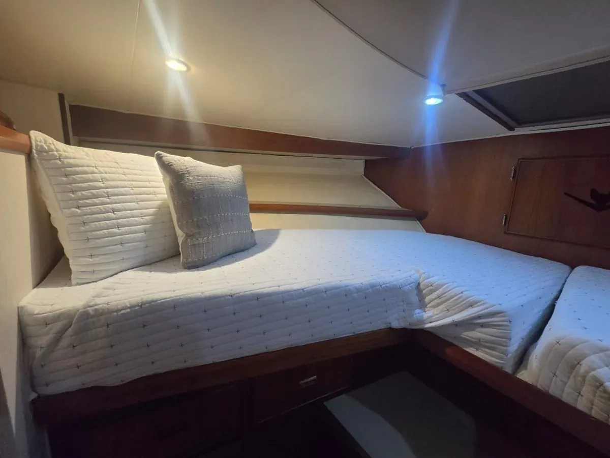 Buy a yacht PARADOX 54