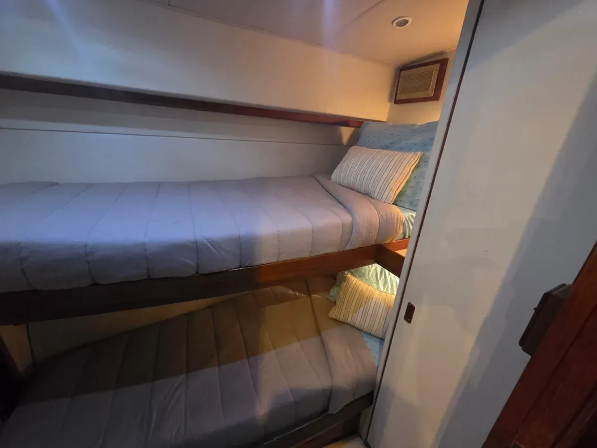 PARADOX - Bertram Yacht