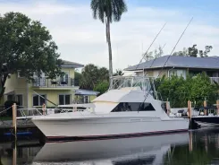 best yacht sales deals PARADOX - Bertram Yacht