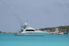 best yacht sales deals PARADOX - Bertram Yacht