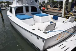 RAMPAGE Flybridge Cruiser price