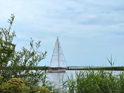 Buy a Lula Tintel 36 at Shestakov Yacht Sales
