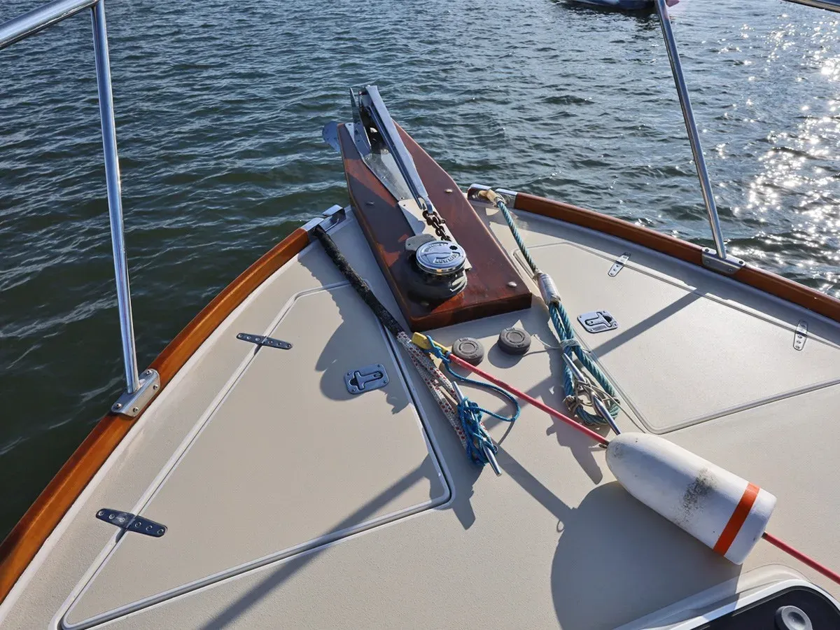 REPETE Bluestar 37 price