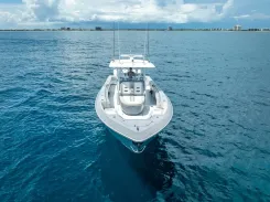 Buy a yacht NICO 2024