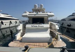 the best price on WHITE SWAN