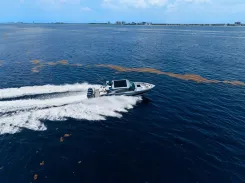 Buy a Imagination 2026 at Shestakov Yacht Sales