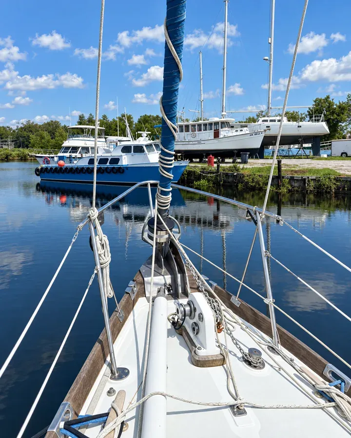Thalassa Fuji 40 price