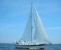 the best price on Calypso