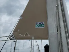 Calypso 50 price
