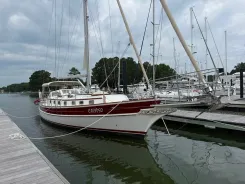 Calypso