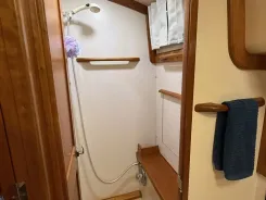 Calypso 50 price