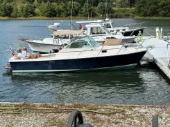 WAHINE Surfhunter 25 price