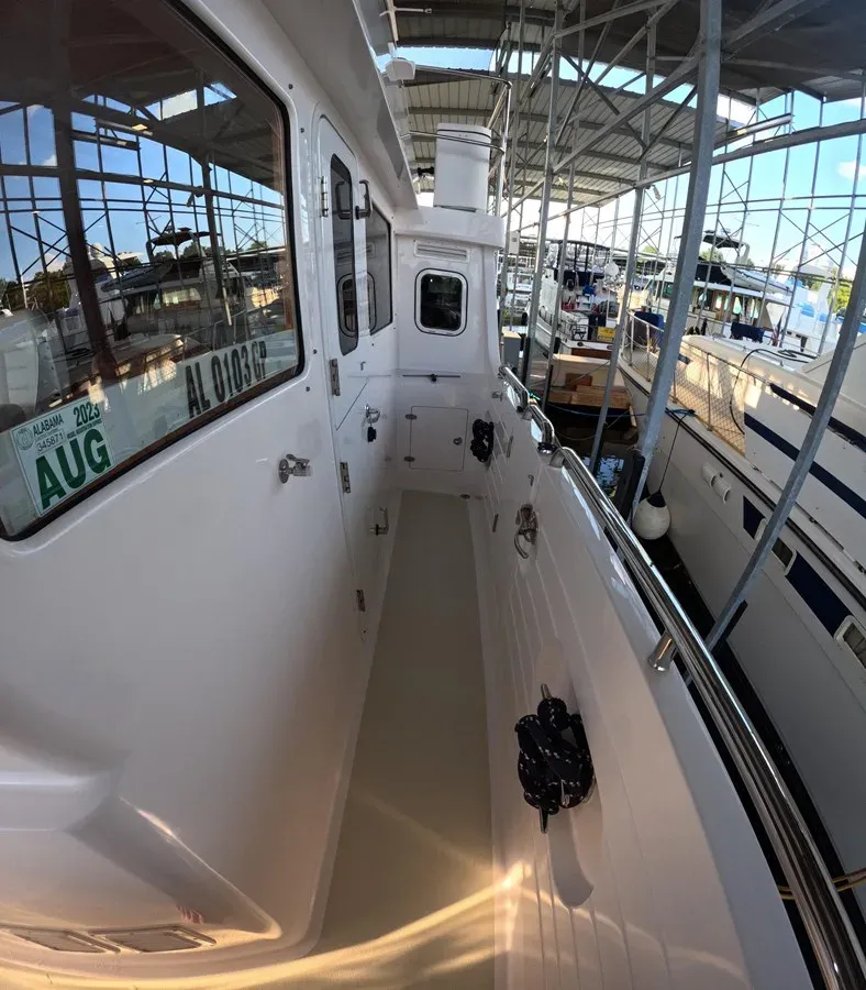 SOPHIA ROSE 50 Open