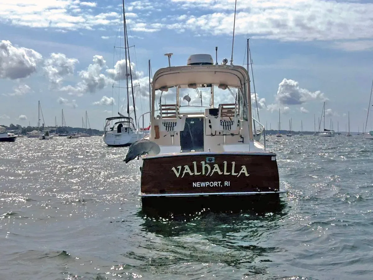 VALHALLA 28 Express Cruiser price