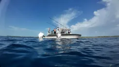 MY VIVIERAE II yacht sale