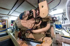Bella Luna