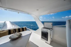Southerner 65 price
