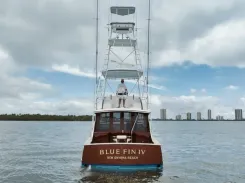BLUE FIN IV 42 price