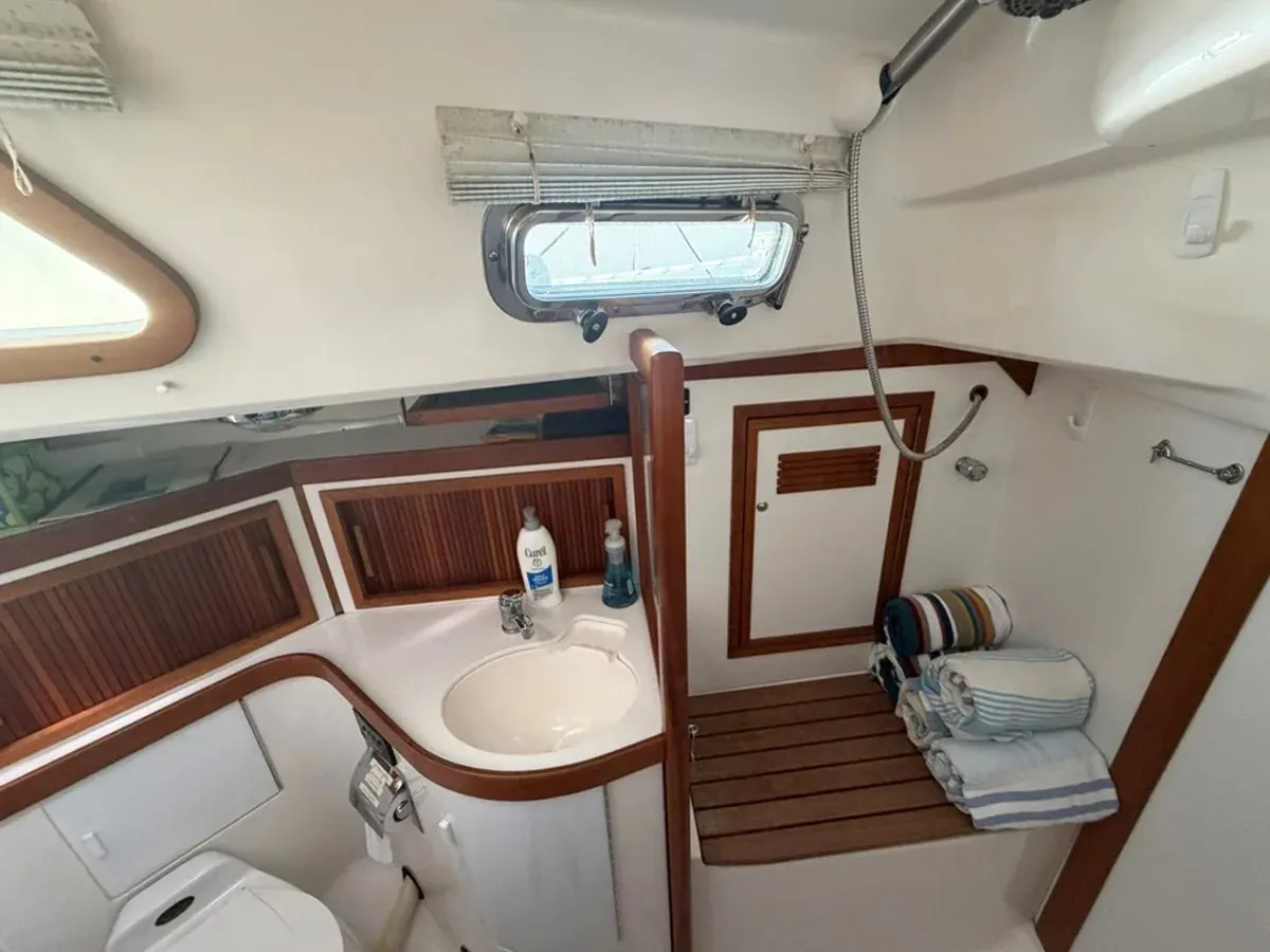 SCRIMSHAW 40