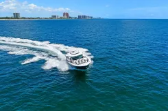 the best price on What the Hull 2020