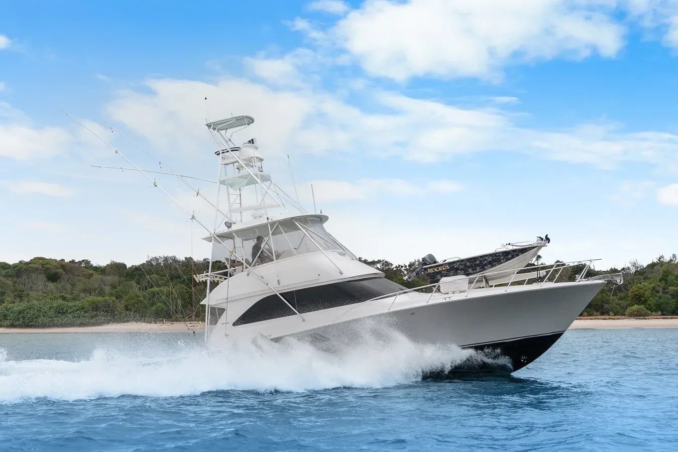 Купить яхту Ruckus - VIKING в Shestakov Yacht Sales