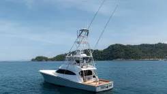 FISH TANK - VIKING yacht sale