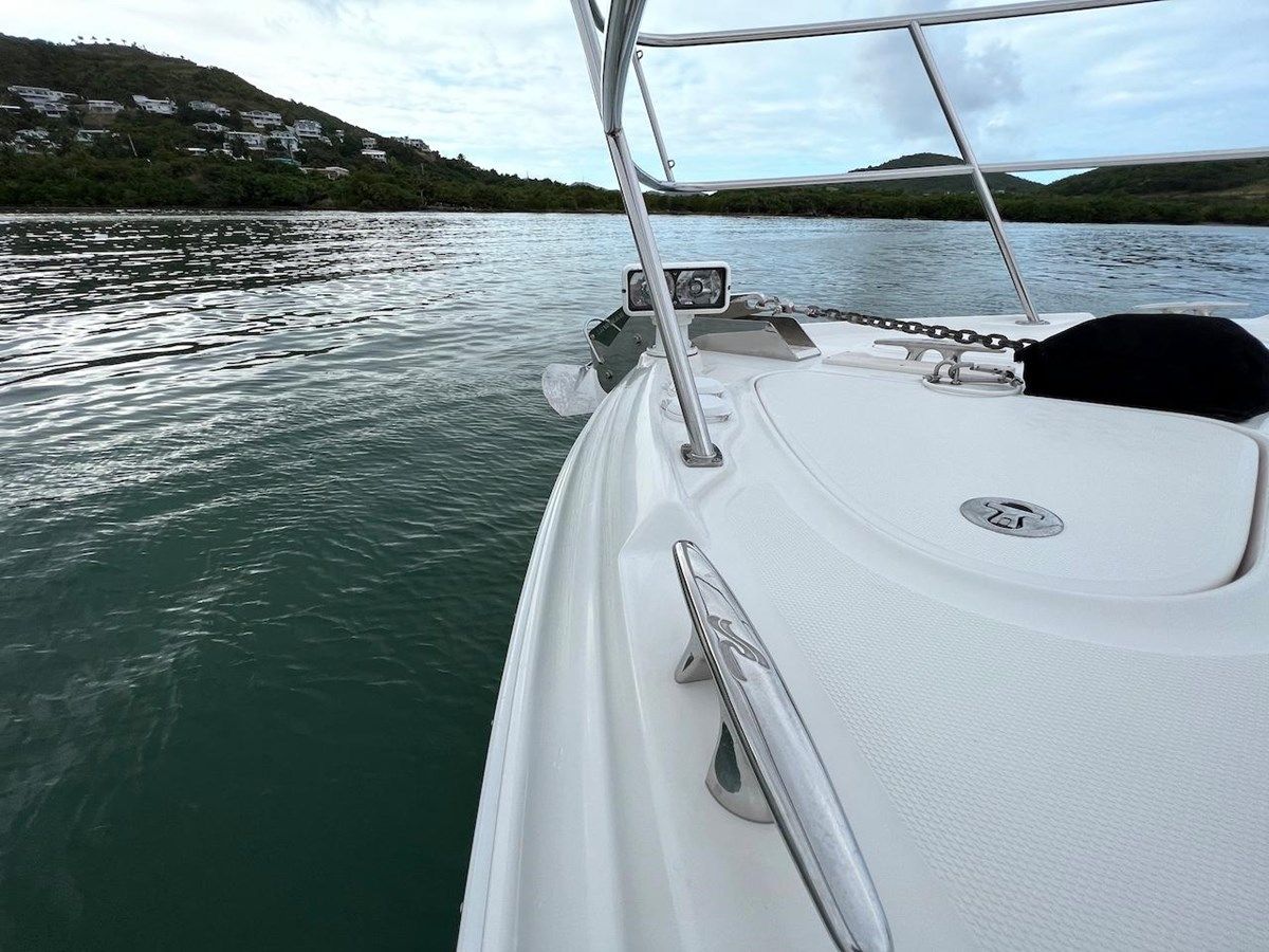 Buy a Sea Ray at Shestakov Yacht Sales