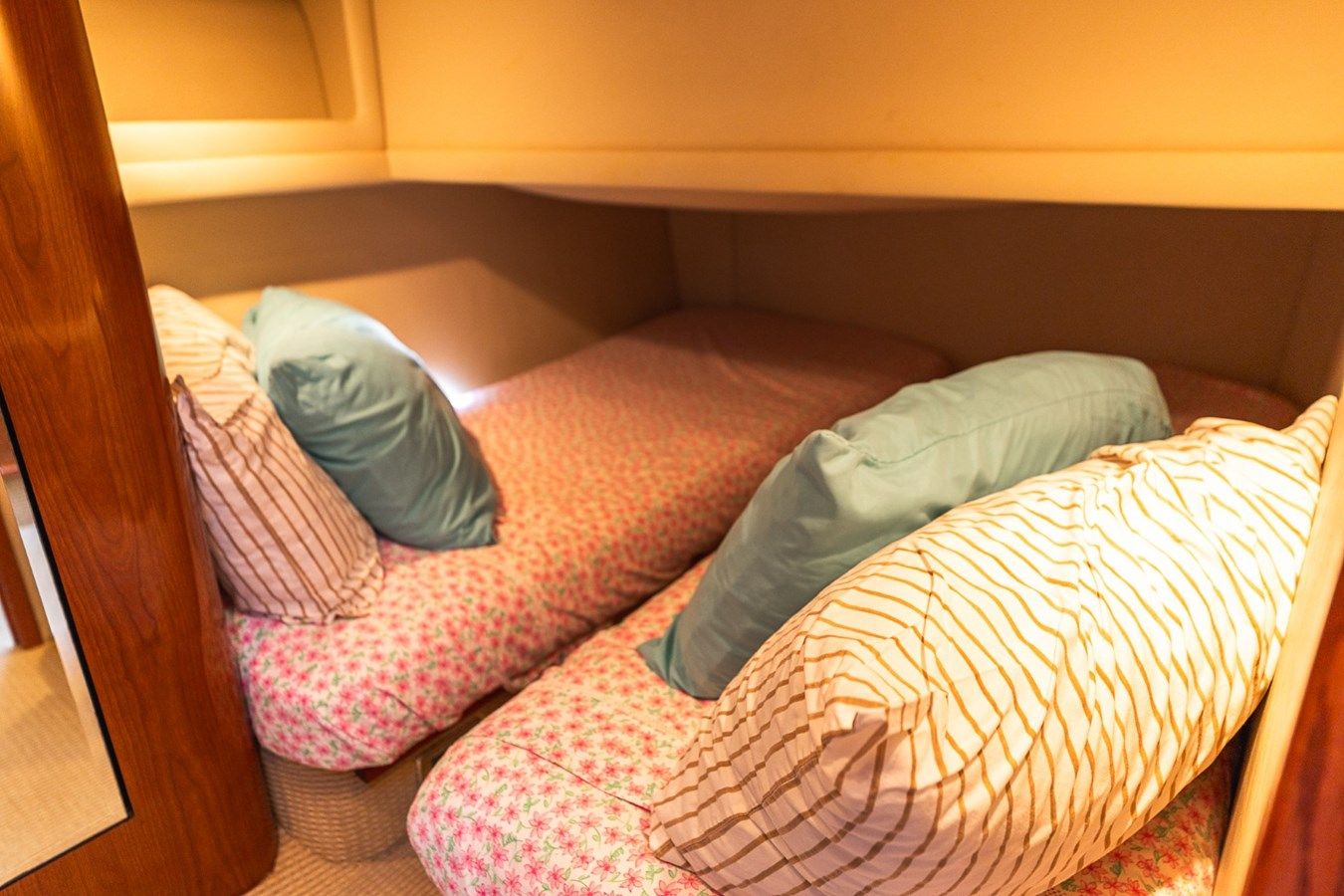 the best price on RED FOX