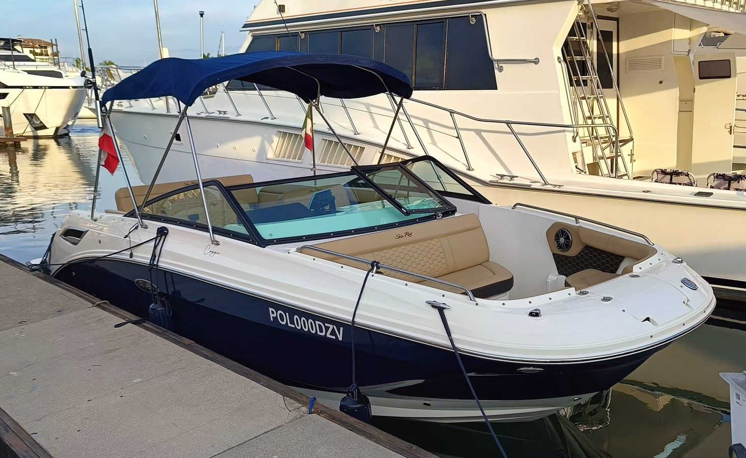 2022 Sea Ray 250 SDX @ Puerto Vallarta - SEA RAY