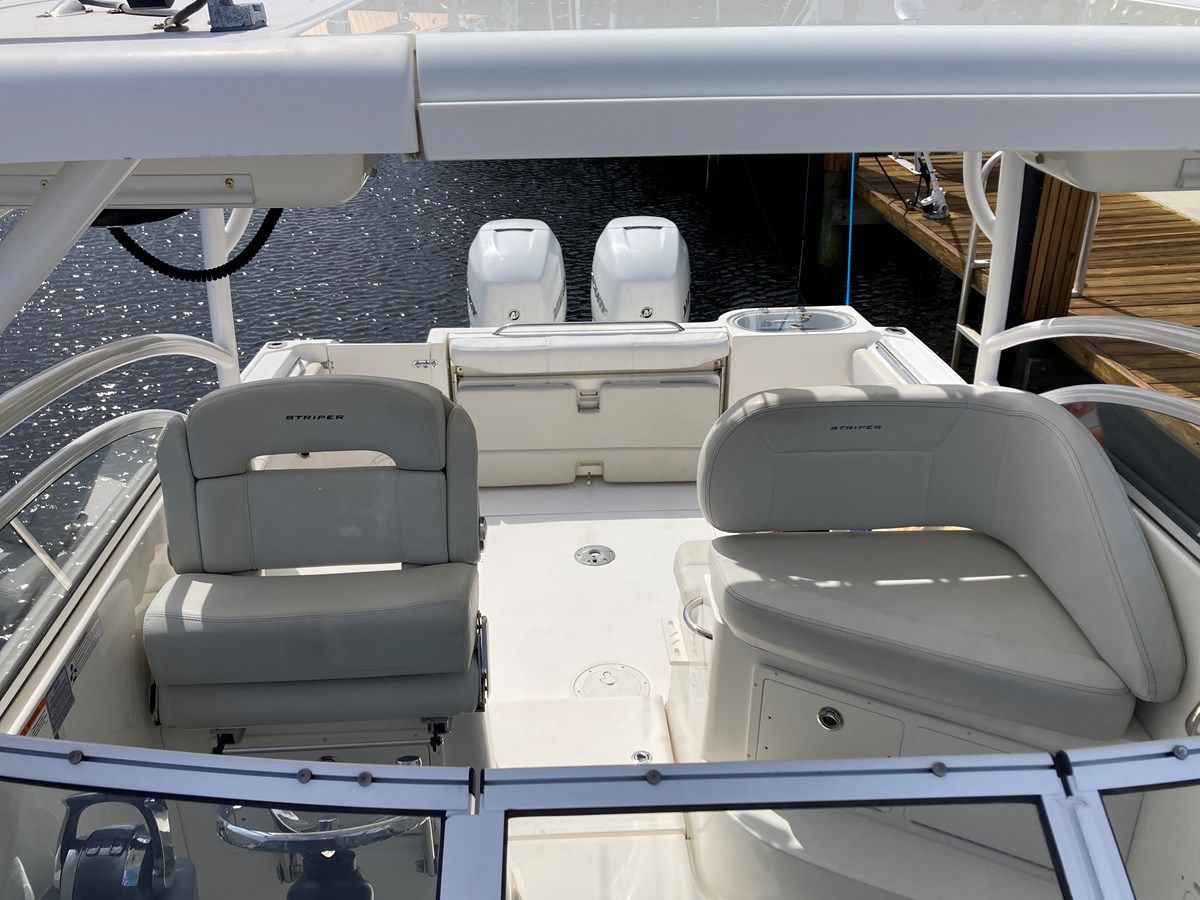 290 Walkaround - STRIPER price