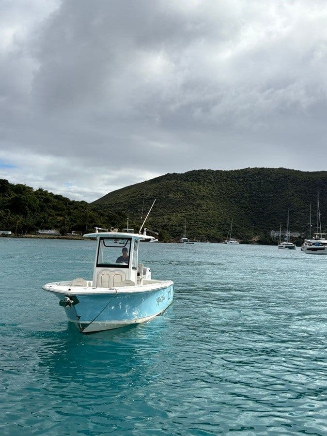 Buy a yacht 26 Sea Hunt 2019