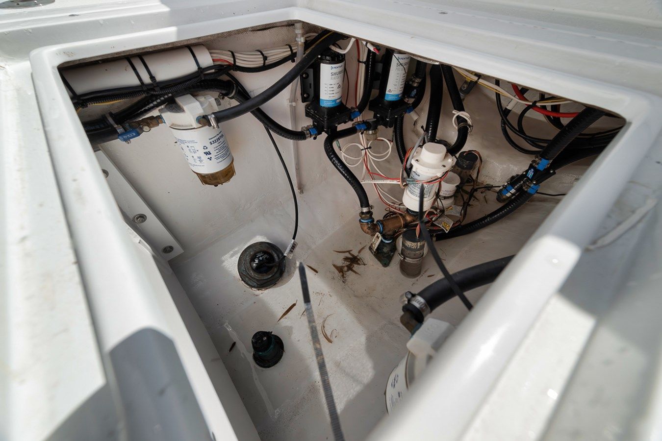 Лучшая цена на Contender 2004 2004